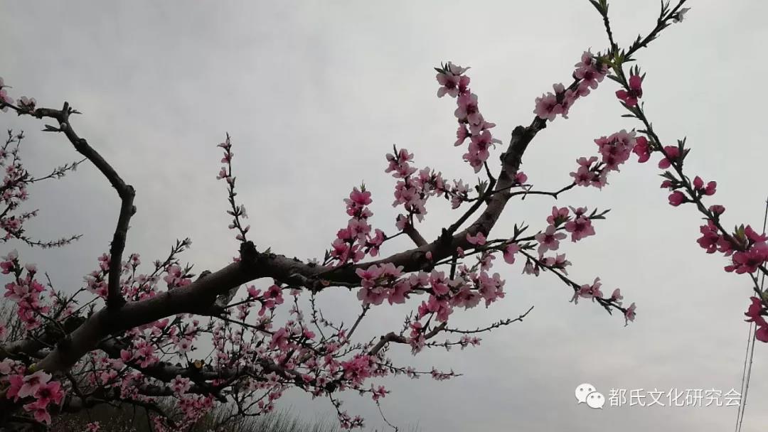 1614218546724772.jpg 8.jpg