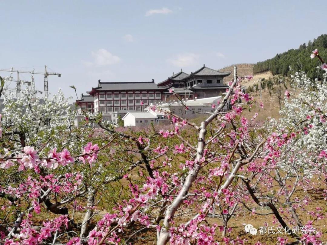 1614218386583511.jpg 3.jpg