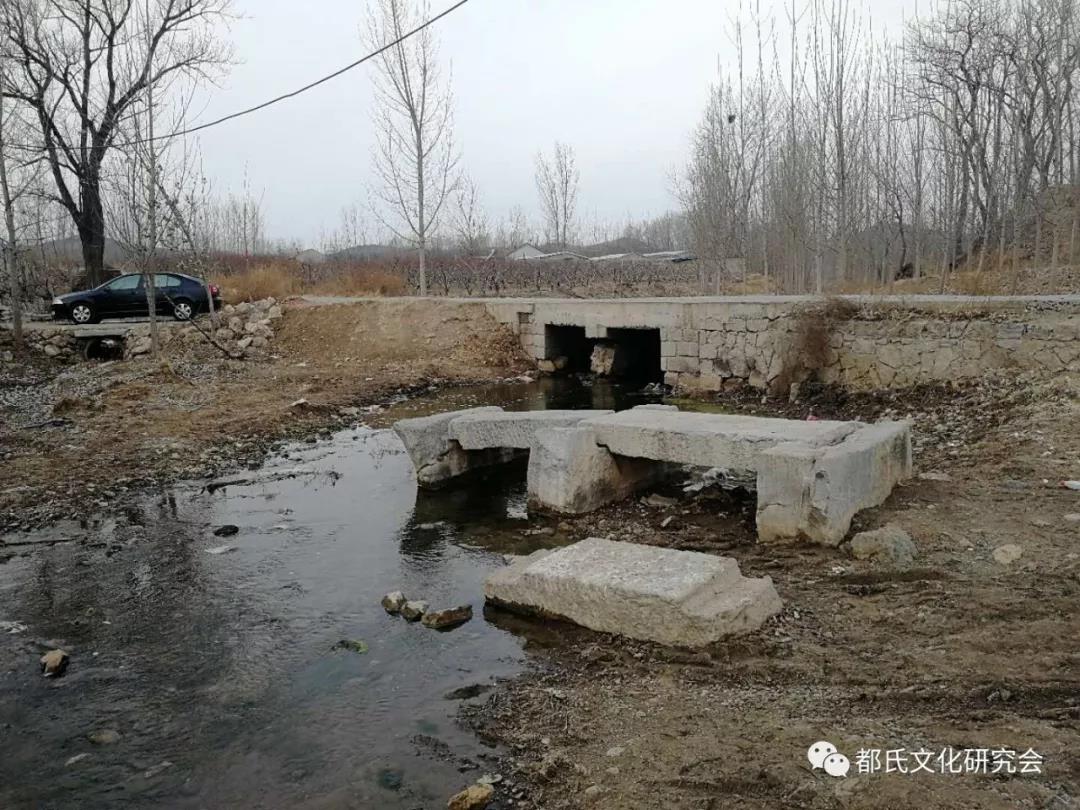 1614218953519576.jpg 25.jpg