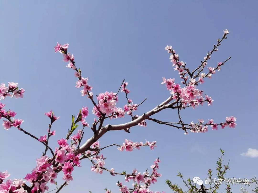 1614218504755511.jpg 6.jpg