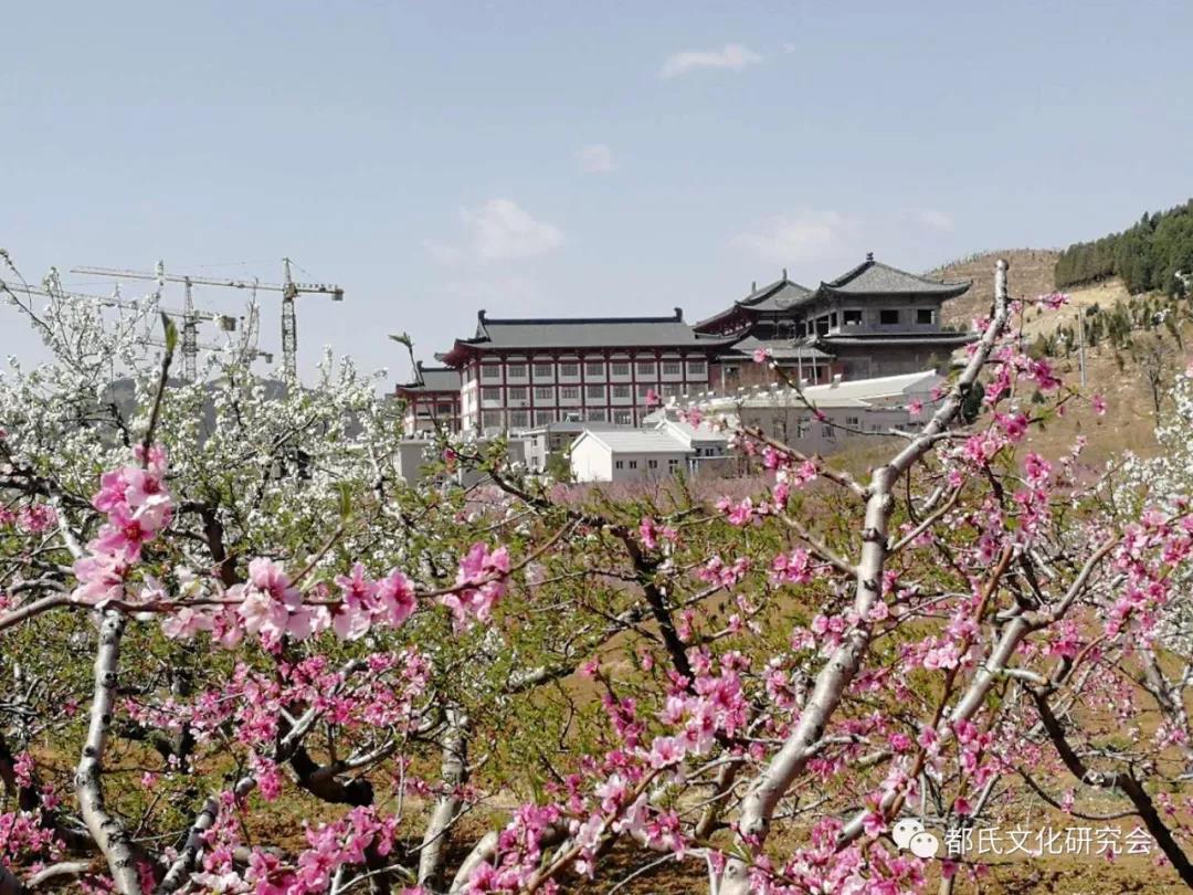 1614218731341067.jpg 13.jpg