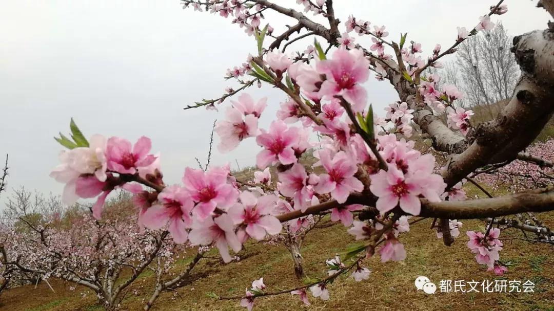 1614218540968691.jpg 7.jpg