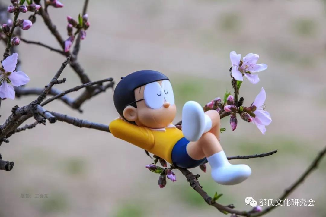 1614218559924351.jpg 9.jpg